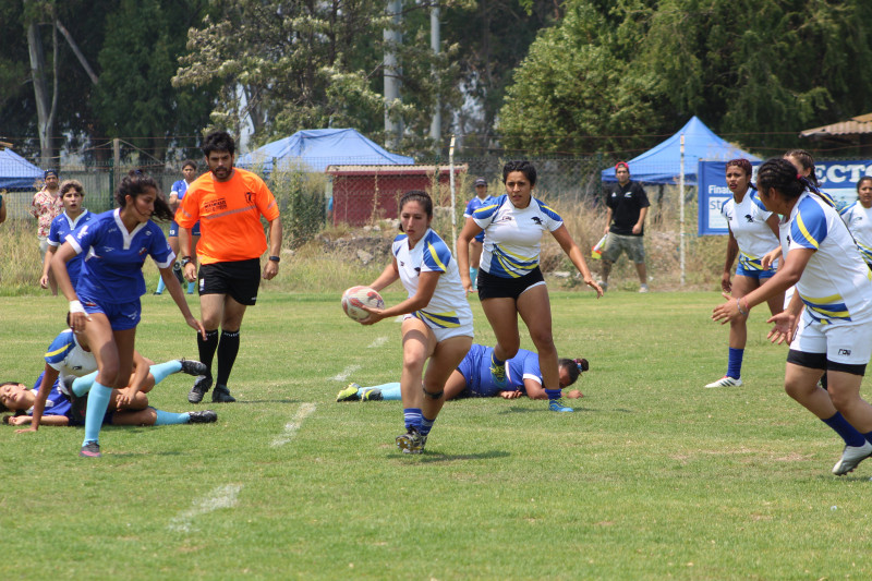 Goliath Profesores rugby