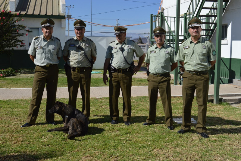 Los funcionarios de la Prefectura Limarí-Choapa han cuidado y entregado su cariño a los canes.