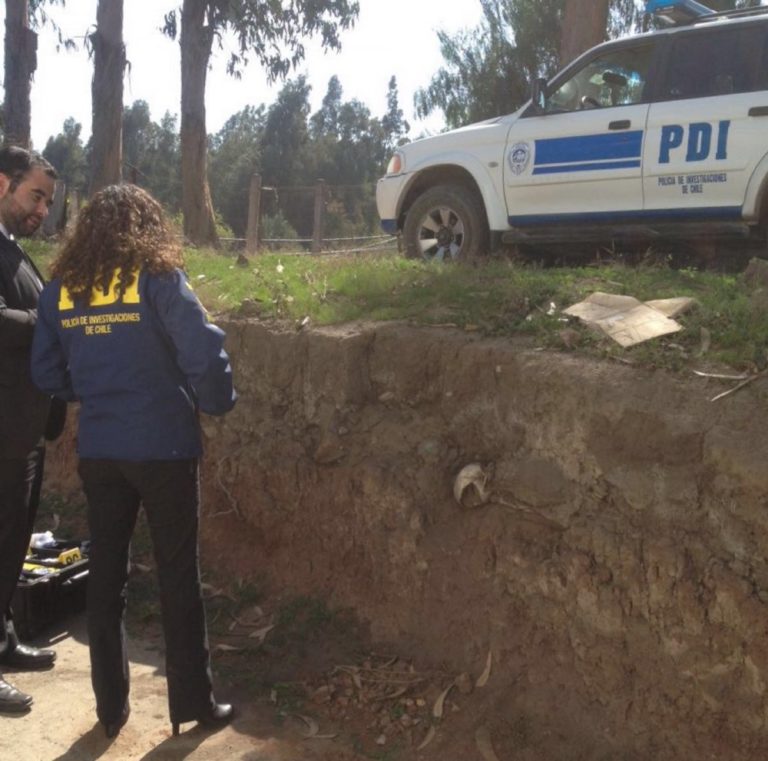 Hallan osamentas humanas al interior de viña en La Chimba
