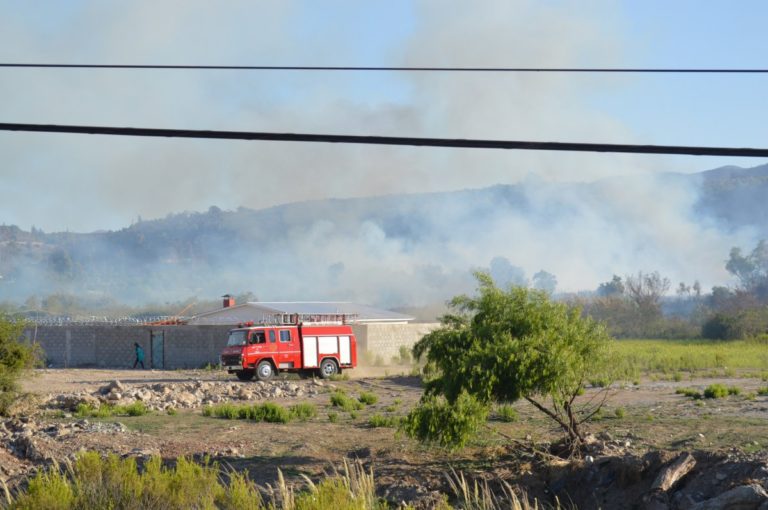 Por más de 3 horas ardió incendio  de pastizales  