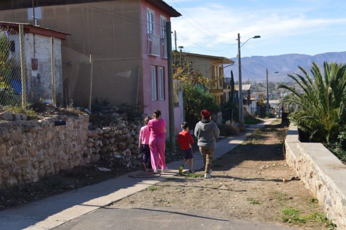 Vecinos acusan masiva matanza de mascotas