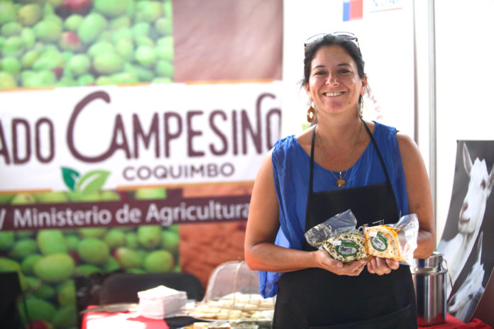 Punitaqui, emprendedora, Andrea Alfonso