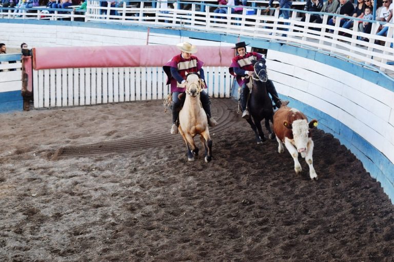 Los exponentes de esta disciplina se reunieron en Ovalle.