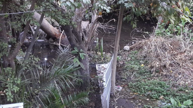 El patio de la casa de Emelina Mundaca se ha visto afectado y el huerto se ha convertido en un pantano por la filtración del agua del Canal Tuqui