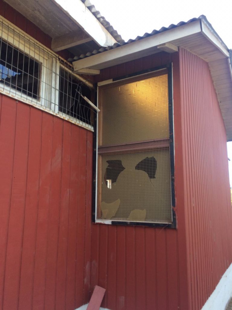 La indignante situación que afecta a capilla en población Vista Hermosa de Ovalle