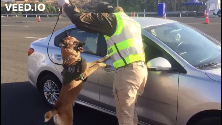 captura_de_pantalla_2020-06-03_10
