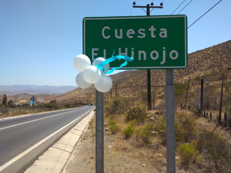 p5_caso_arrollado_el_hinojo