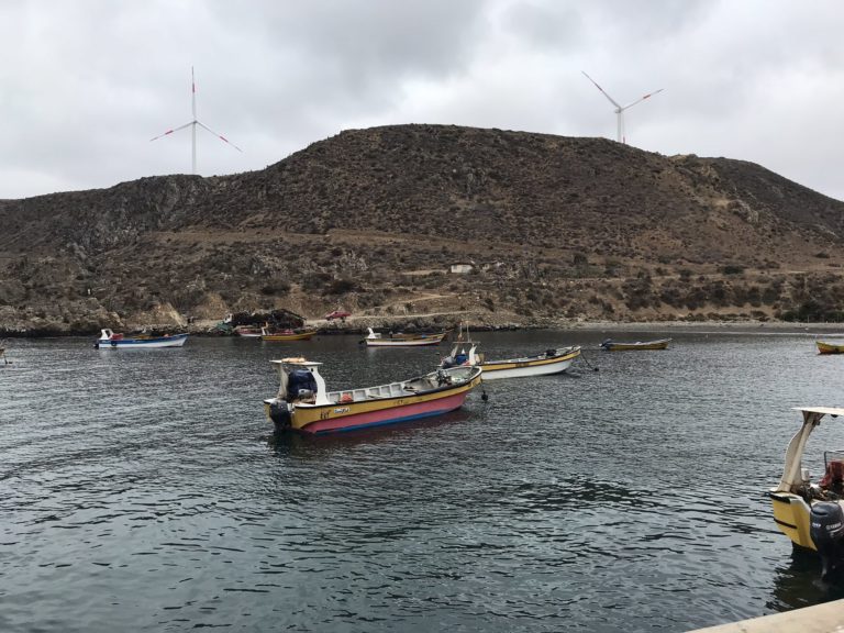 El próximo objetivo de los pescadores es expropiar la Caleta Sierra, para así no volver a lidiar con demandas de privados.
