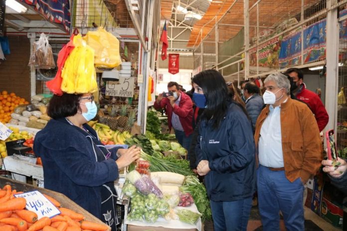 p4_1_ministra_karla_rubilar