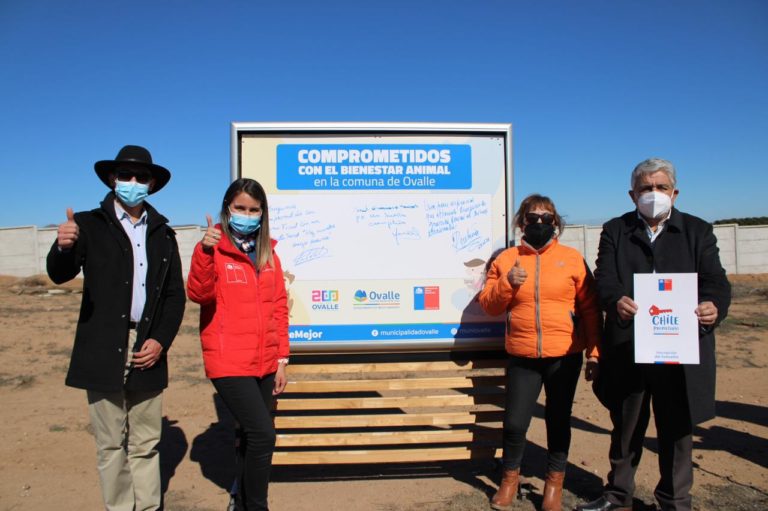 p7_1_canil_municipal