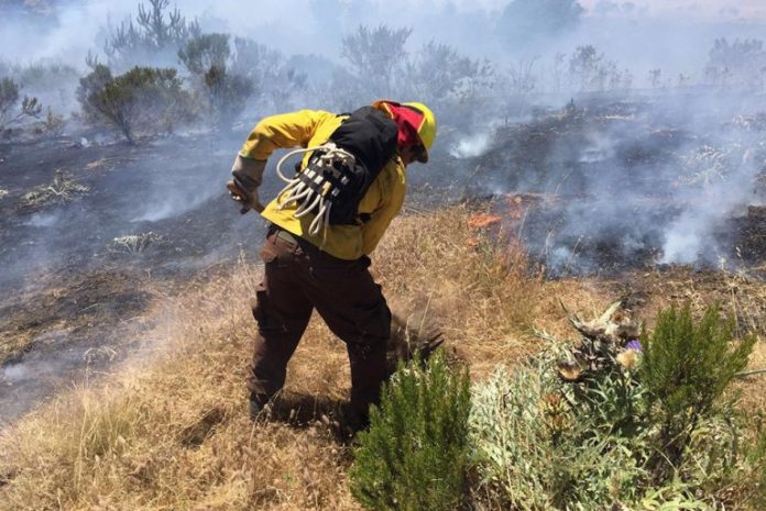 p3_temporada_de_incendios