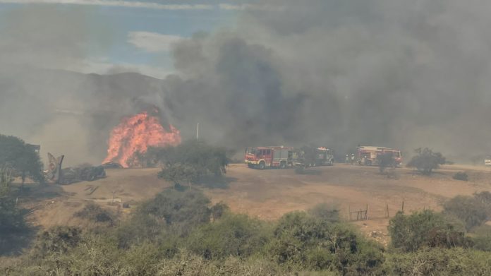 p4_incendio_forestal_la_granjita_punitaqui_1