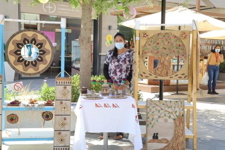 p7_expo_pueblos_originarios_open_