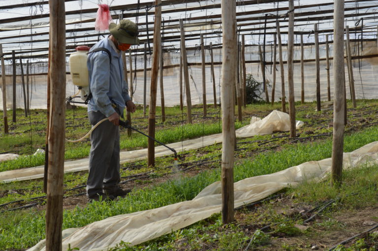 p3_agricultura_en_el_litre