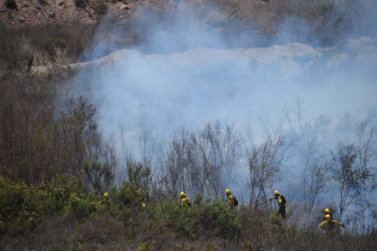 whatsapp_image_2022-01-20_at_15