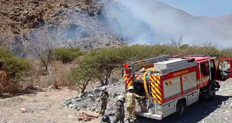 p5_incendio_la_mostacilla_secundaria
