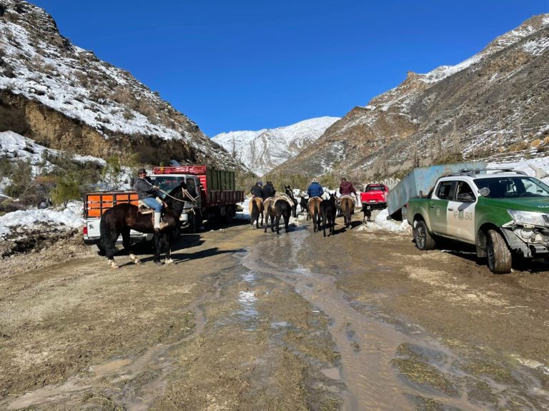 294502383_1063251697641572_6323153810307205740_n