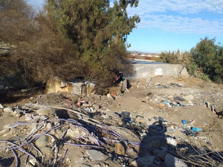 p4_identificado_autor_secundaria