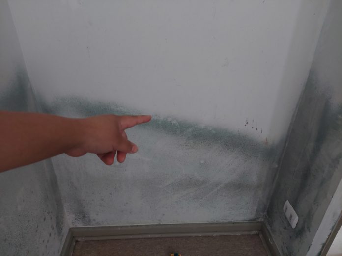 Una de las vecinas afectadas muestra el hongo que ha quedado en las paredes de su pieza, producto de la humedad de las filtraciones de agua.