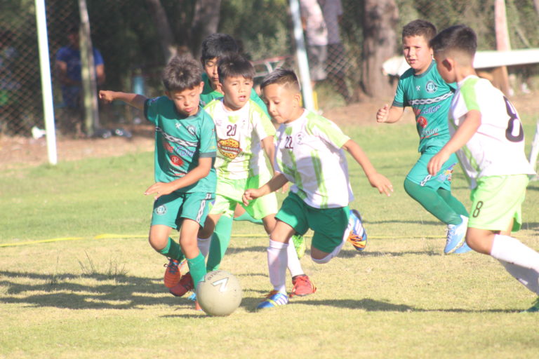 p8_cabecera_mucho_publico_en_torneo_kico_rojas