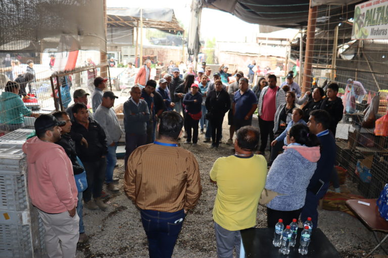 p2_comerciantes_postureros_cabecera