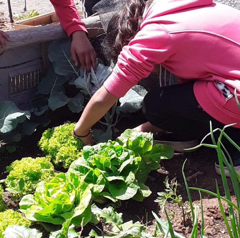 whatsapp_image_2023-03-09_at_18