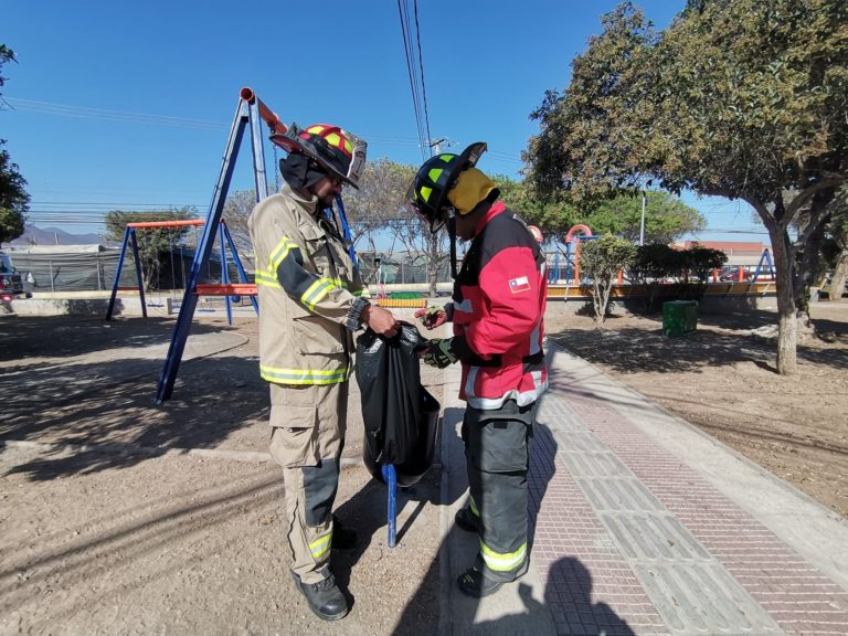 Bomberos tuvo que ir en rescate de un gatito que fue abandonado en una bolsa de basura.