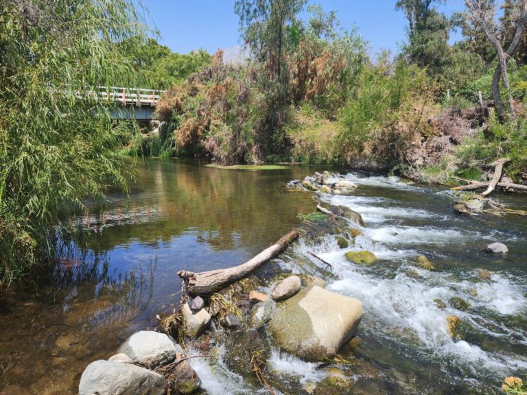 p4_-_p5_inician_participacion_para_declarar_humedal_urbano_al_rio_grande