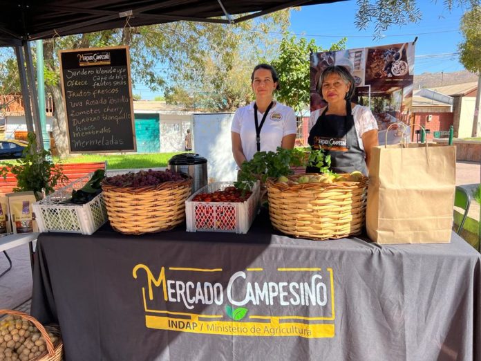 desde_julio_el_mercado_campesino_de_indap_funcionara_todos_los_viernes_en_la_plaza_de_armas_de_monte_patria_-_01
