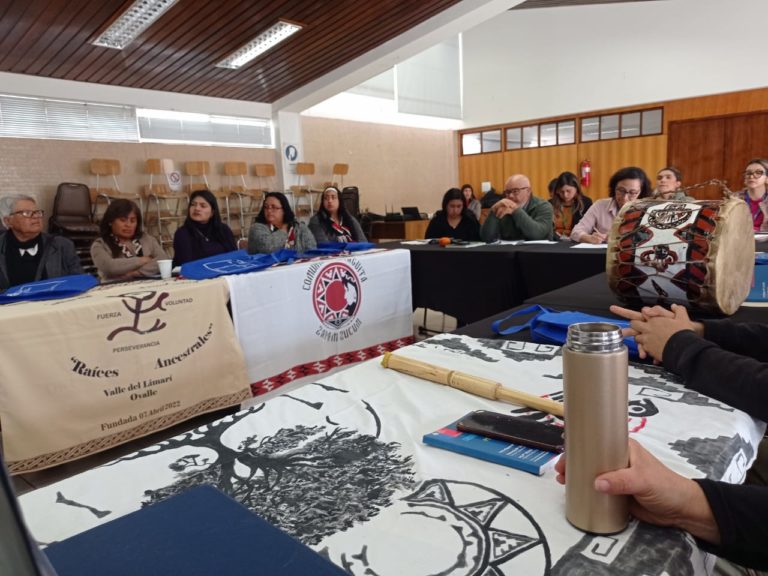 p3_diaguitas_del_limari_entregan_petitorio_de_demandas_a_autoridades