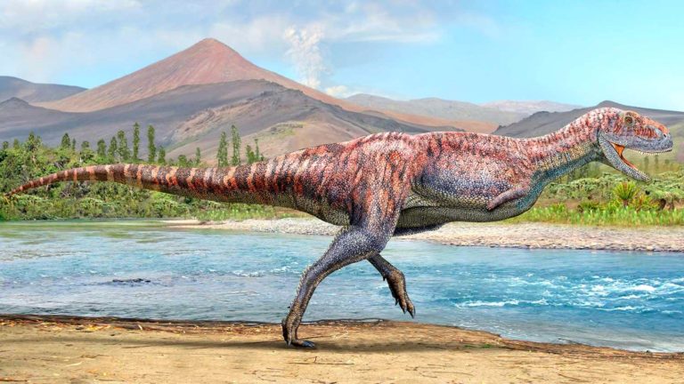 p5_instan_a_la_creacion_de_un_museo_local_tras_identificacion_de_dinosaurio_en_rio_hurtado