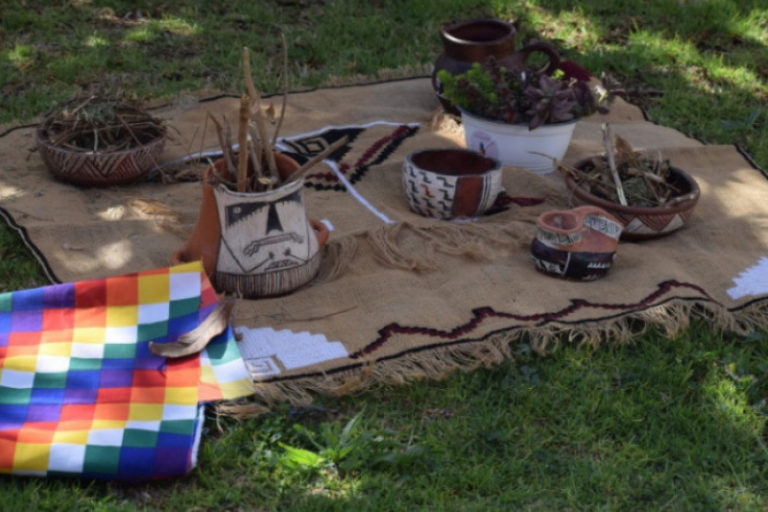 p3_pueblos_indigenas_rechazan_nueva_ley_de_biocombustibles_solidos