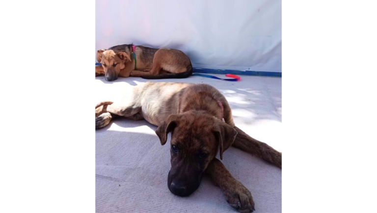 20231009_095942_0000