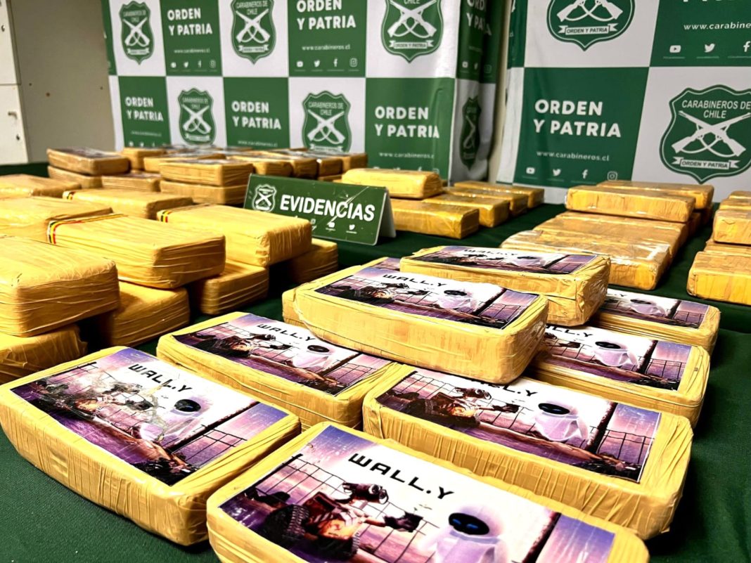 WhatsApp Image 2025-09-09 at 12.37.13