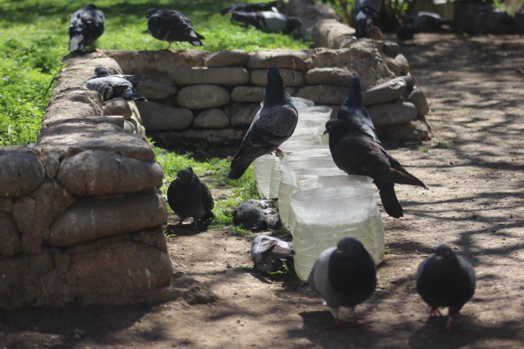 WhatsApp Image 2025-10-28 at 13.18.43