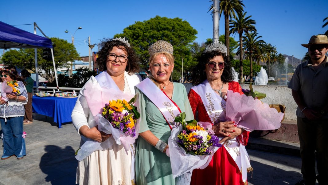 WhatsApp Image 2025-10-31 at 14.55.07 (1)