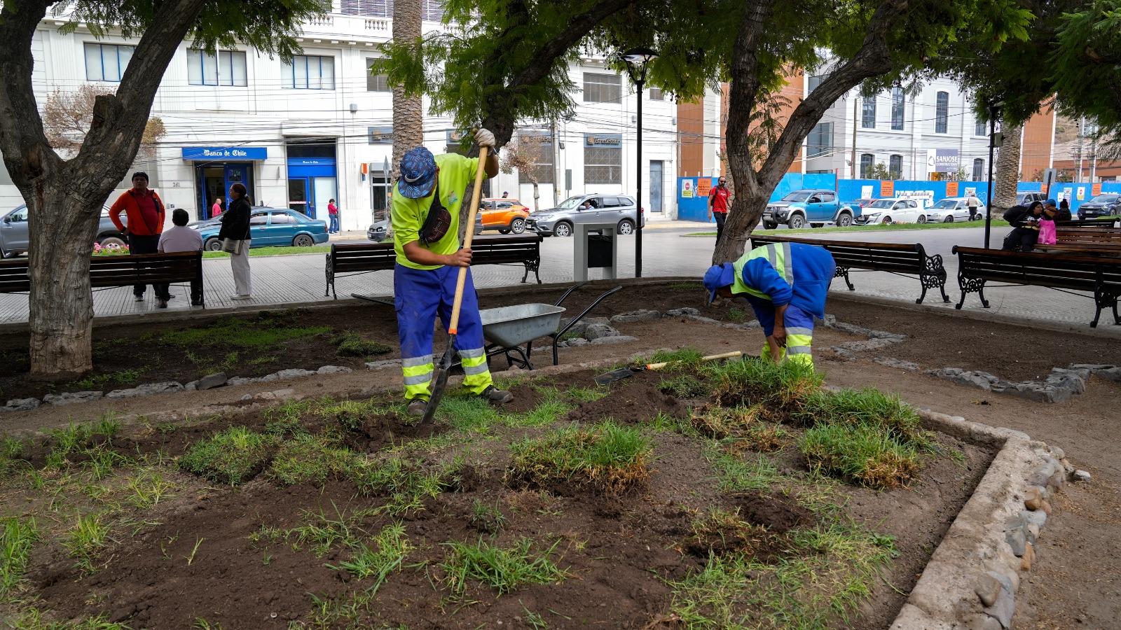 Municipio de Ovalle realiza trabajos de mejoramiento en la plaza de armas