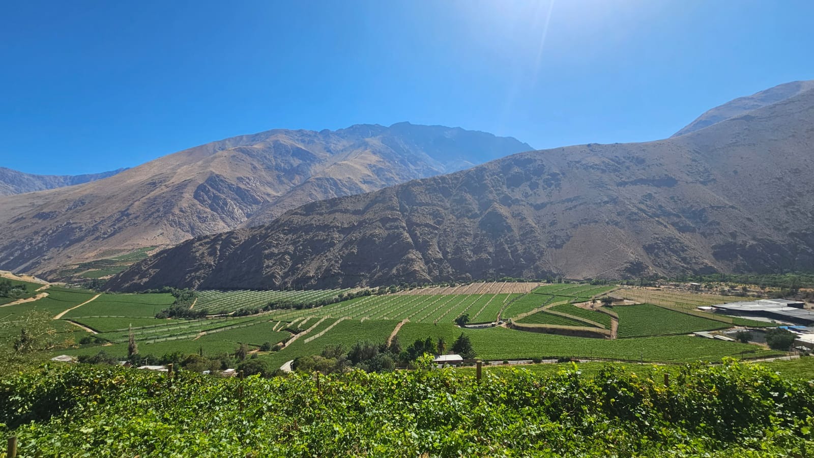 Predio agrícola acusa trabas sanitarias e impacto productivo por restricciones